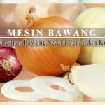 Mesin Pengupas Bawang di Jakarta