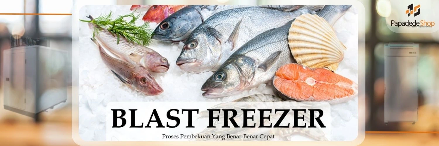 Jual Blast Freezer di Jakarta