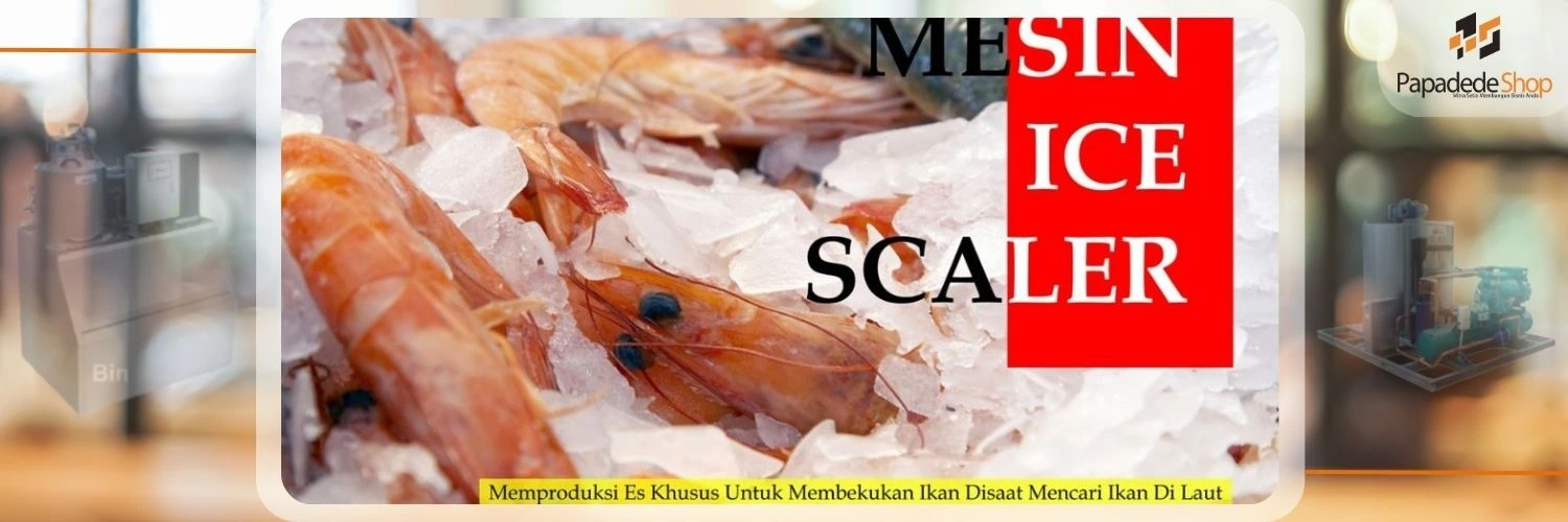 Mesin Ice Scaler Papadedeshop – Jual Pembuat es kering untuk pengawetan ikan laut dan darat Papadedeshop di Jakarta
